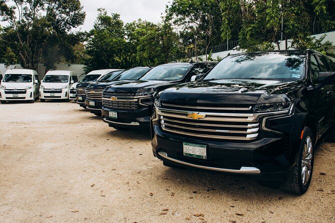 One Way Private Transfer Cancun Int Airport-Cancun Hotel Zone - Key points before you land
