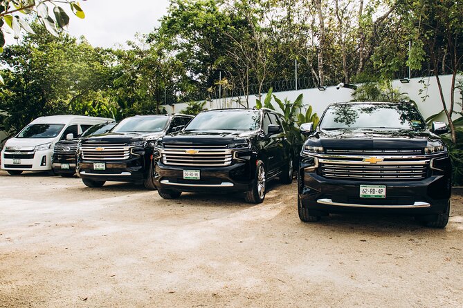 One Way Private Transfer Cancun Int Airport - Playa del Carmen - What You Really Get: A One-Way Private Ride Done Like a Pro