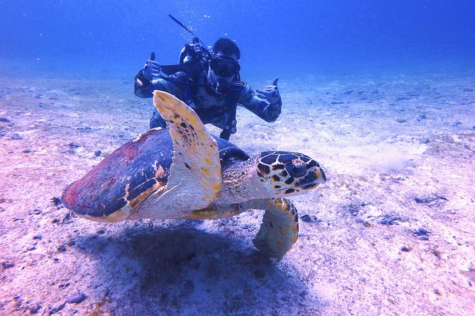 Open Water Certification Course-PADI - Day 3: Marine National Park, Two-Tank Sessions, and Graduation