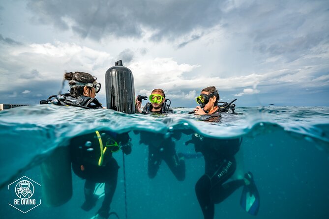 Open Water Course Cozumel - Conservation lessons: how “responsible diving” shows up in training