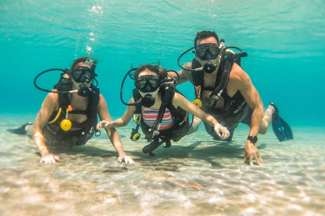 Open Water Course Cozumel - Instructor style you’ll feel: patience, clear goals, and technique