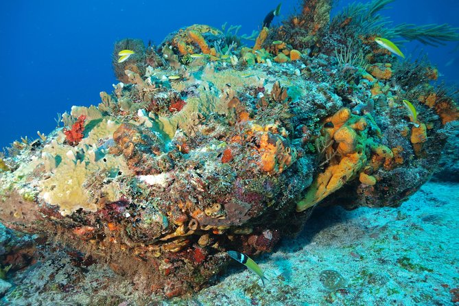 Open Water Diver course PADI including underwater video - Open-Water Sessions: From Skills to Real Confidence