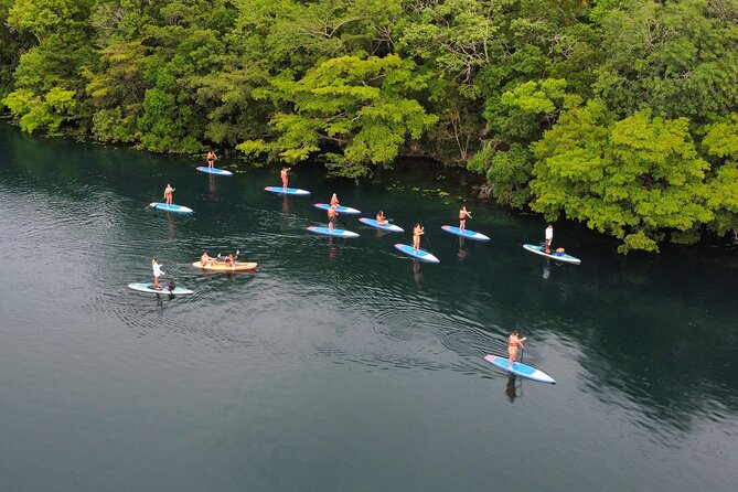 Paddle at Dawn with visit to Cenotes and Islands - Why a 6:30 AM Bacalar paddle feels worth it