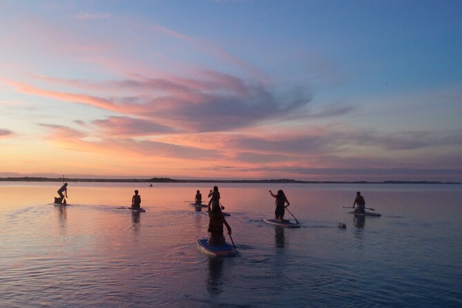 Paddle at Dawn with visit to Cenotes and Islands - Bird sanctuary stop and floating picnic: why it works