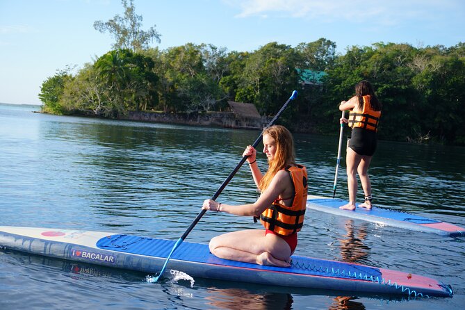 Paddle at Dawn with visit to Cenotes and Islands - Should you book Paddle at Dawn with Cenotes and Islands?