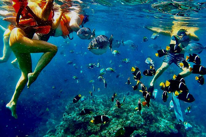 Paddleboard and Snorkeling Experience in Los Arcos - From Mismaloya Beach to Los Arcos: The Flow of Your Morning