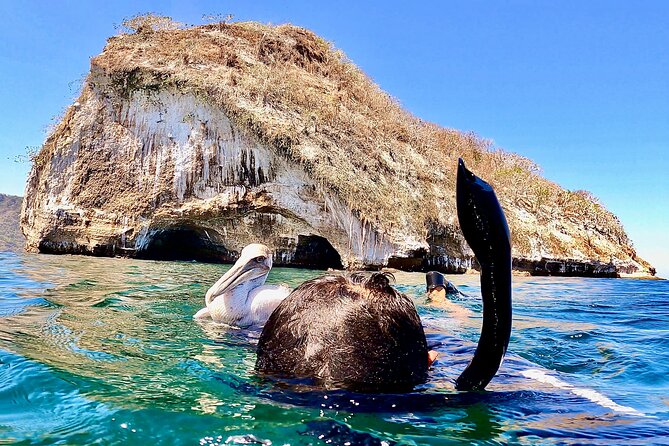 Paddleboard and Snorkeling Experience in Los Arcos - Paddling to Los Arcos: Caves, Birds, and That Close-Up Feeling