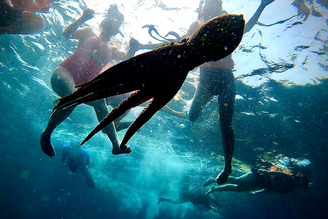 Paddleboard and Snorkeling Experience in Los Arcos - Guides: The Human Factor That Makes Los Arcos Feel Easy