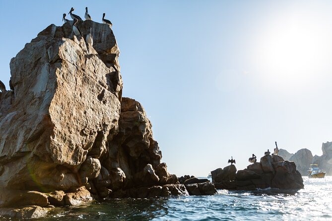 Paddleboard Expedition to the Arch of Cabo San Lucas, Lovers Beach & Snorkel - Who should book this paddleboard and snorkel tour