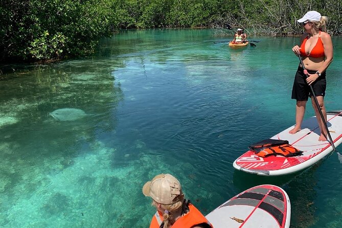 Paddleboard Kayak Tour in Cancun - SUP versus kayaking, and how to choose