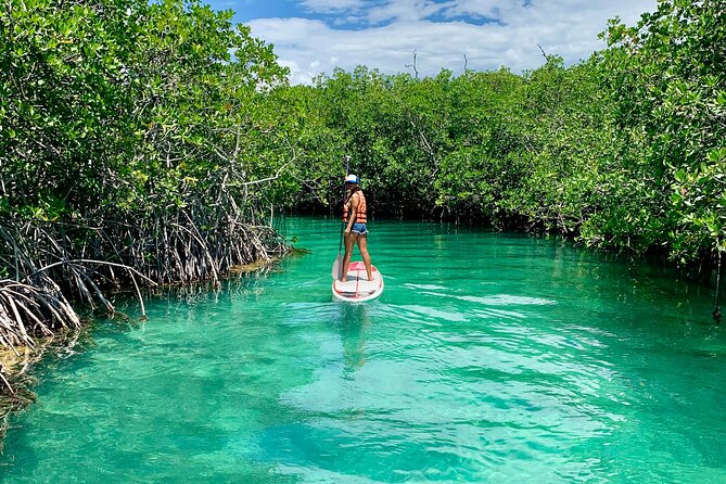 Paddleboard Kayak Tour in Cancun - Stop 1: Nichupté Lagoon and what you actually do
