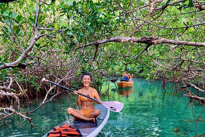Paddleboard Kayak Tour in Cancun - Group size, energy level, and who this suits best
