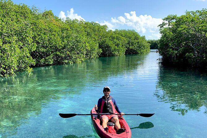 Paddleboard Kayak Tour in Cancun - Where to meet: the Scuba Cancun pick-up point
