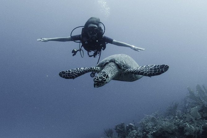 PADI Discover Scuba Diving - Costa Maya and the Short Course That Gets You Under