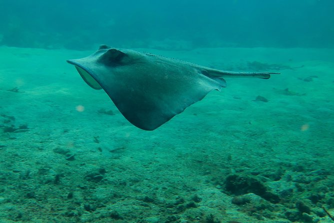 PADI Discover Scuba Diving - Underwater Time: What 43 Minutes Feels Like