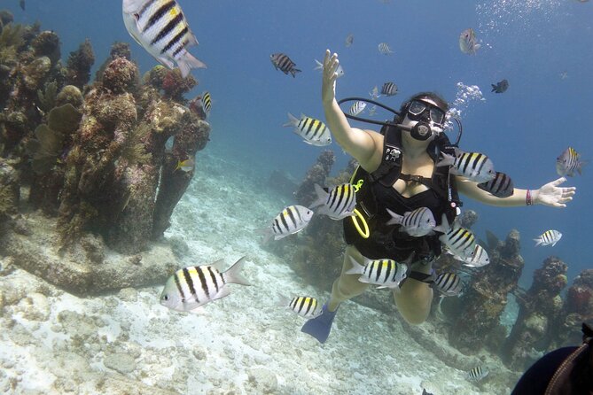 PADI Discover Scuba Diving for divers without certification - Safety instruction that you get before you go under