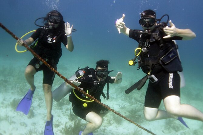 PADI Discover Scuba Diving for divers without certification - Meeting point and group size: why 15 people changes the feel