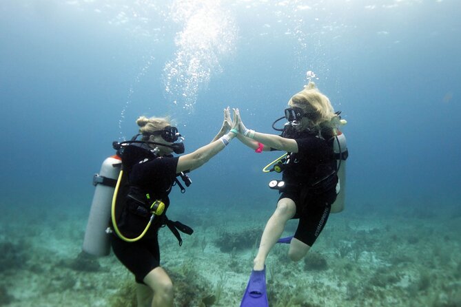PADI Open Water Diver Course - PADI Open Water in Isla Mujeres, What This Course Really Gives You
