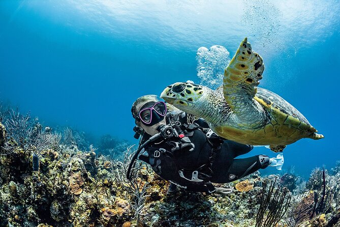 PADI Open Water Diver Course in Playa del Carmen - What Your PADI Open Water Diver Certification Actually Gives You