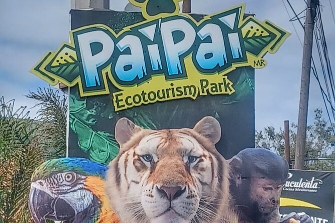 Pai Pai Animal Experience: Private Ride and Ticket Assistance - Key Highlights You’ll Feel Immediately