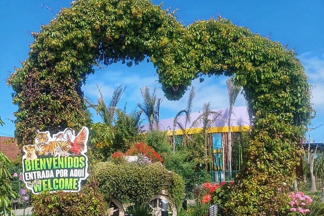 Pai Pai Animal Experience: Private Ride and Ticket Assistance - The Ride Through Ensenada: Photos, Estuaries, and Real Local Tips