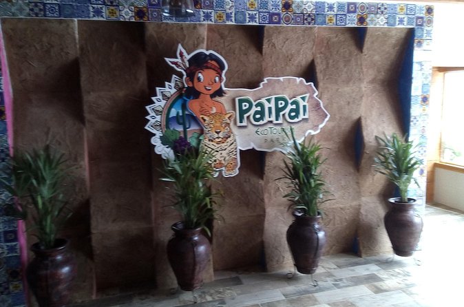 Pai Pai tour - Pairing Pai Pai With Blowhole Views and Tacos