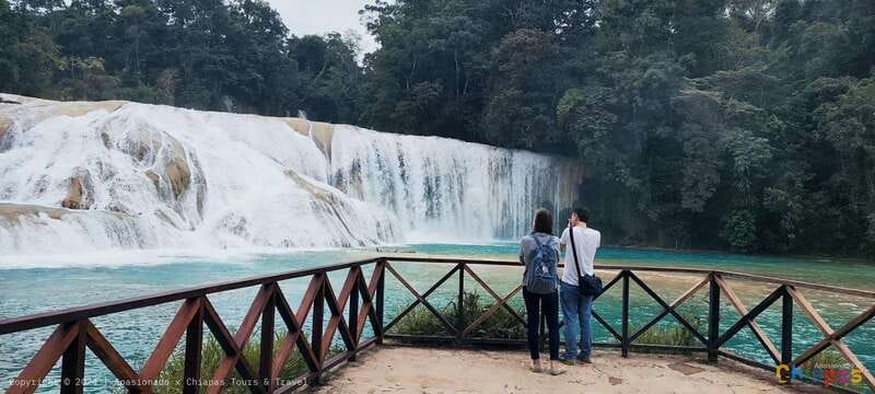 Palenque: Palenque Ruins, Agua Azul Waterfalls and Misol-Ha - Key Things You’ll Notice