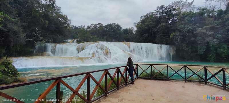Palenque: Palenque Ruins, Agua Azul Waterfalls and Misol-Ha - What to Bring for a Long Day in Chiapas