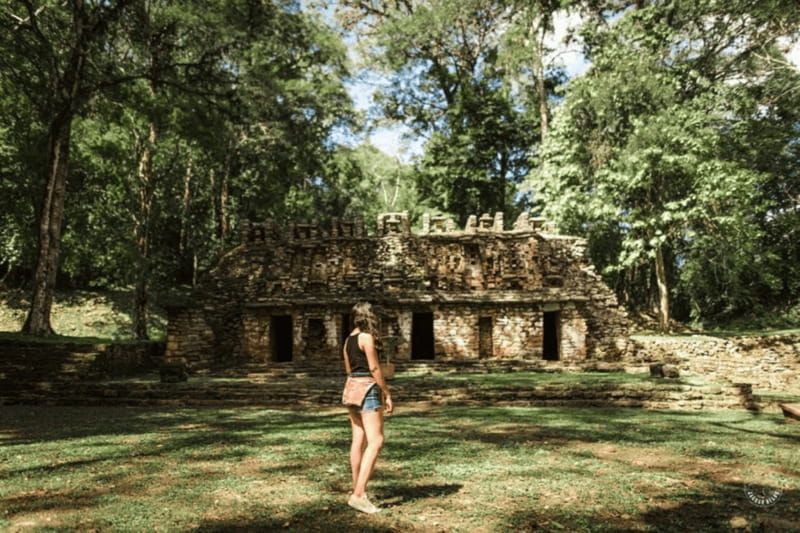 Palenque: Yaxchilán and Bonampak Archaeological Area Tour - Key highlights I think you should care about