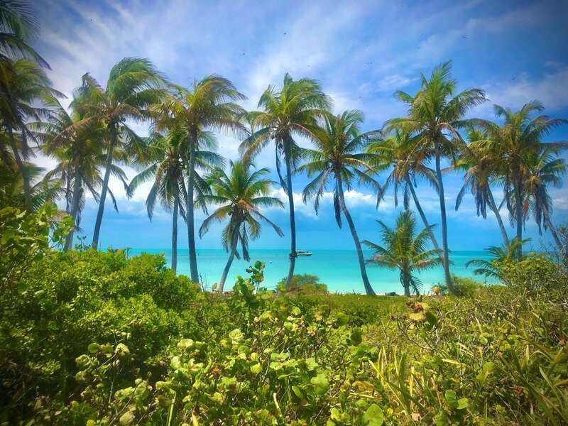 PARADISE ISLAND- ISLA CONTOY AND ISLA MUJERES - The 9-hour game plan, from Flamingos to two very different islands
