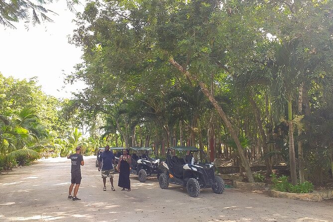 Playa del Carmen Buggy Tour with Cenote Swim and Mayan Village Visit - Cenote swim and jungle hike: how to plan your cool-down