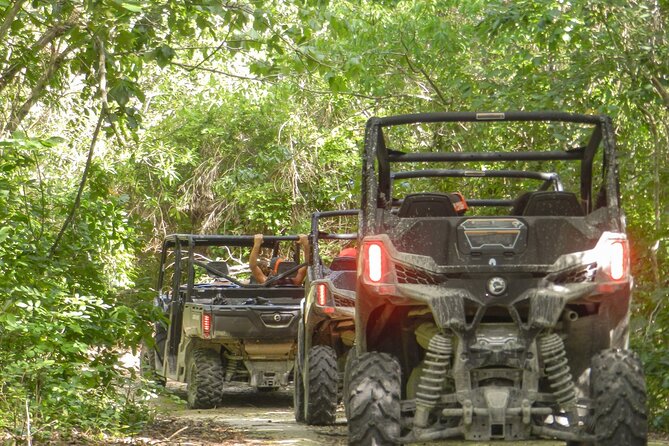 Playa del Carmen Buggy Tour with Cenote Swim and Mayan Village Visit - Buggy setup, safety rules, and why the pairing matters