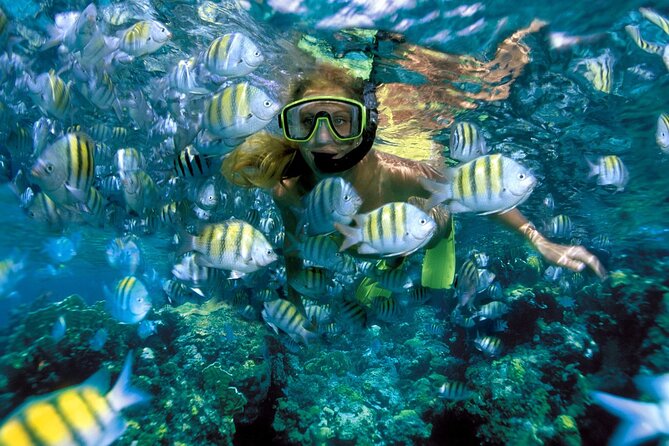 Plus Full Day Catamaran Tour to Isla Mujeres All Inclusive - Cancun to Isla Mujeres by catamaran, in real time