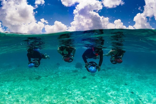 Power Snorkel by Sea Scooter & Flavored Tequila tasting - Where you might spot stingrays, starfish, and schools of fish
