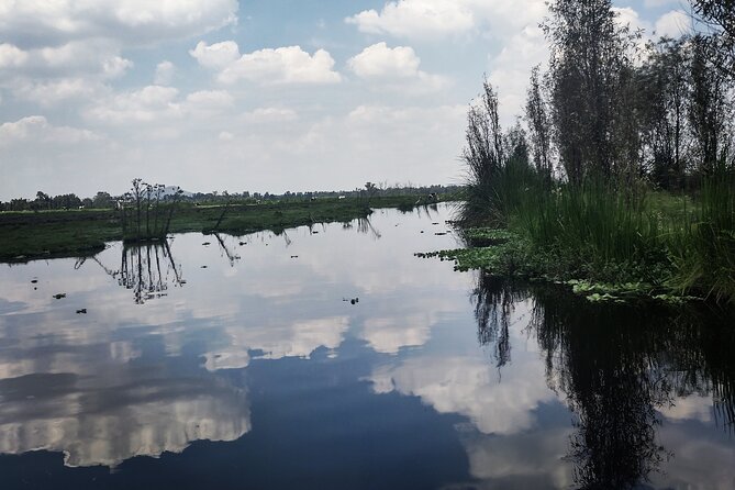 Pre-Hispanic Xochimilco, local food included and ajolotario. - What you’re really paying for at $207.88 per person