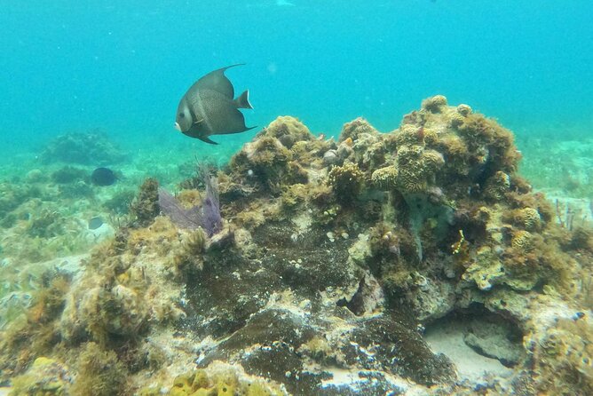 Premium Isla Mujeres Tour by Private Catamaran - Crew Matters: The Small Human Touch That Changes the Day