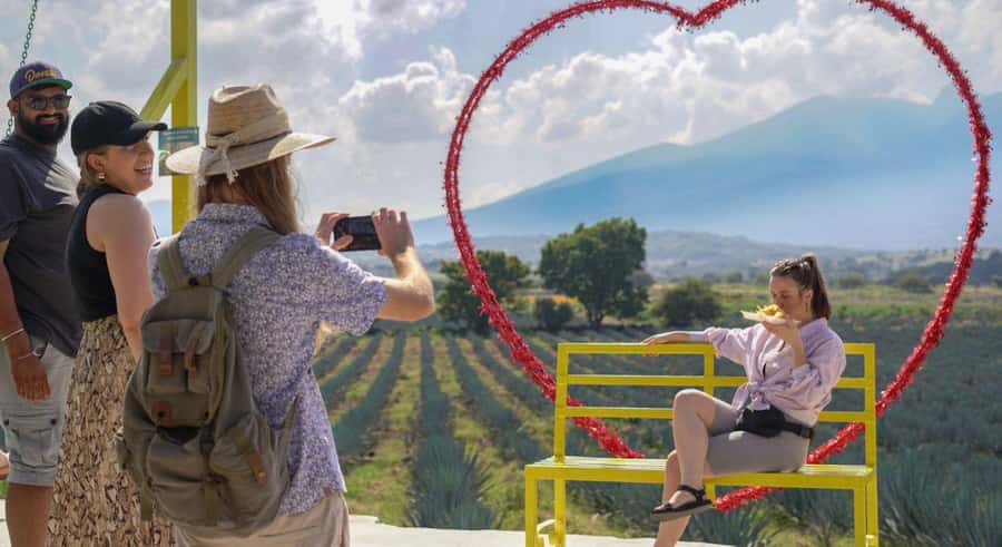 Premium Tequila Route with professional tasting - Key highlights worth your attention