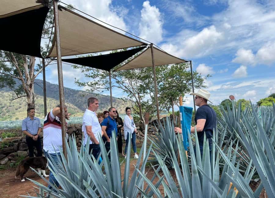 Premium Tequila Route with professional tasting - Premium Tequila Route: What Makes This Day Different