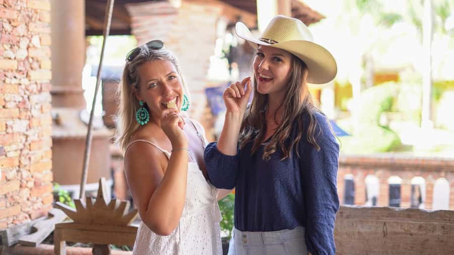 Premium Tequila Route with professional tasting - Pueblo Mágico Tequila: Haciendas, Craft Stops, and TEQUILA Letters