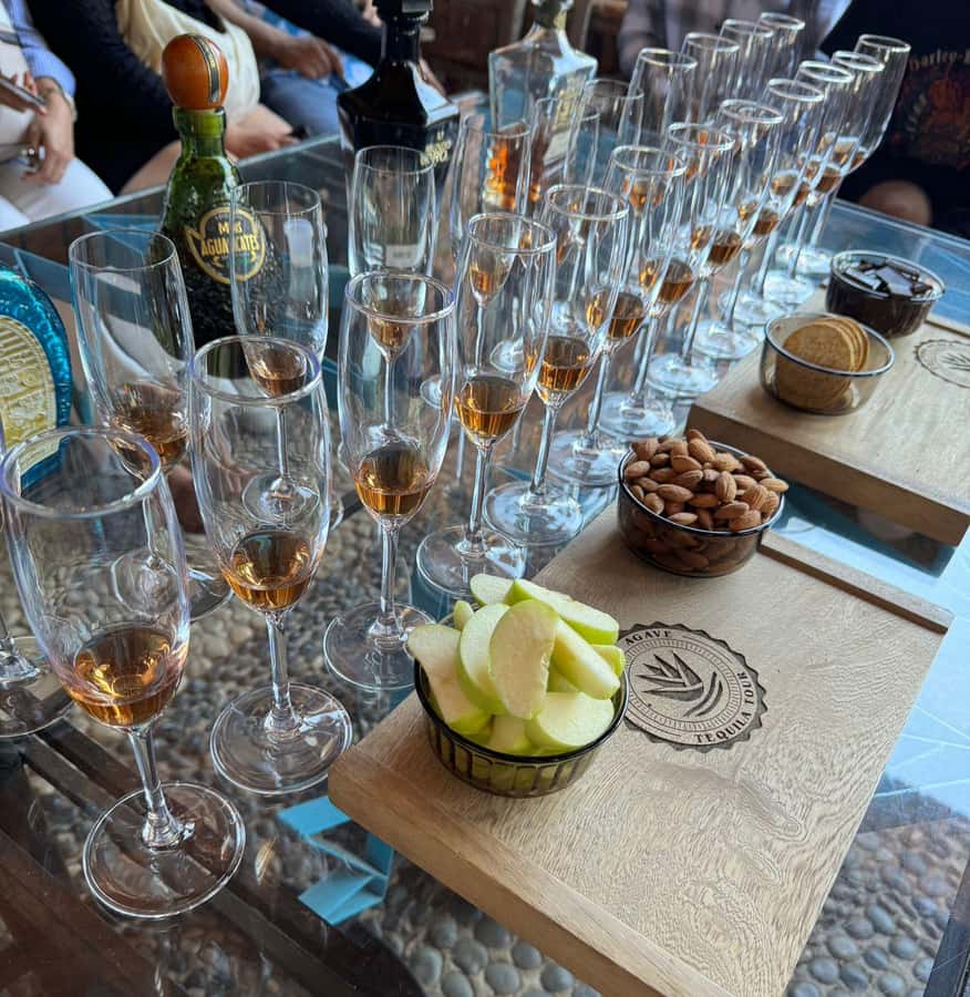 Premium Tequila Route with professional tasting - Who This Tequila Route Is Best For (And Who Should Think Twice)