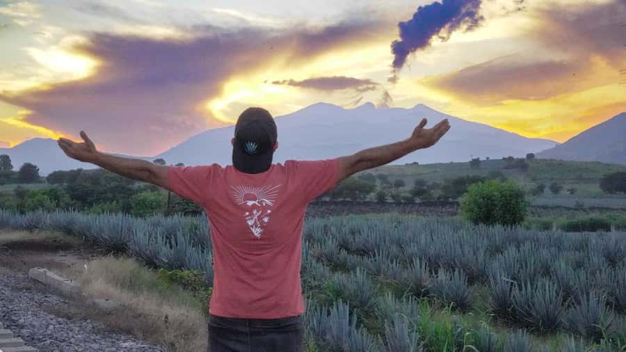 Premium Tequila Route with professional tasting - Practical Tips to Make Your Day Easy (Not Just Fun)