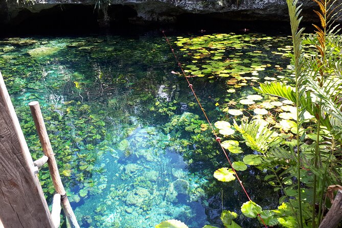 Private Akumal & Cenotes tour - Why private really matters here, especially for families and groups