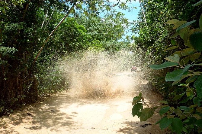 Private ATV Jungle Explorer Tour - Mario and the guide style: instructions that make ATV riding easier
