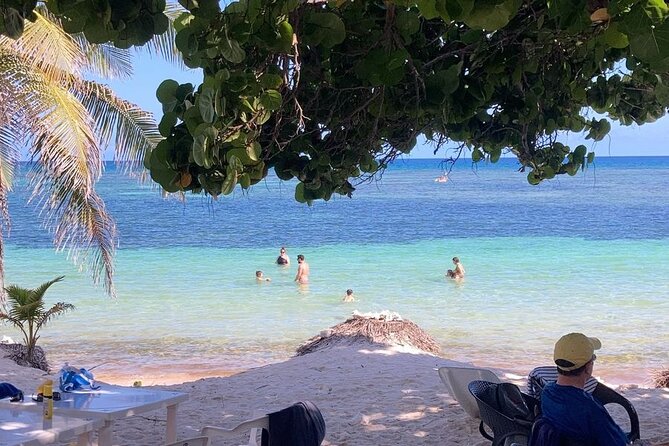 Private beach, all inclusive. - The seaweed reality in Costa Maya, and how to handle it