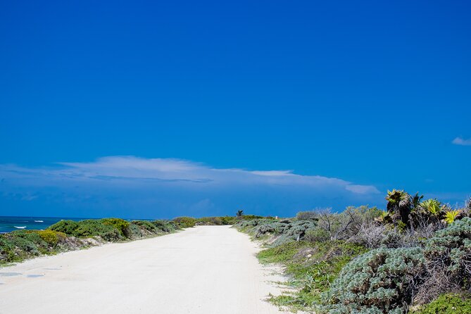 Private Buggy Tour and Punta Sur Park: All-Inclusive - El Mirador for rock climbing, a cave, and blowholes