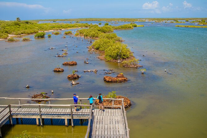 Private Buggy Tour and Punta Sur Park: All-Inclusive - Sabores Cozumel: tequila seminar plus chocolate tasting