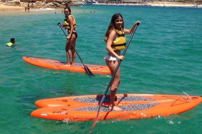 Private Cabo 35ft cat experience Food and open bar included! - Sea Lions, Wildlife Chances, and the Photo-Friendly Stops