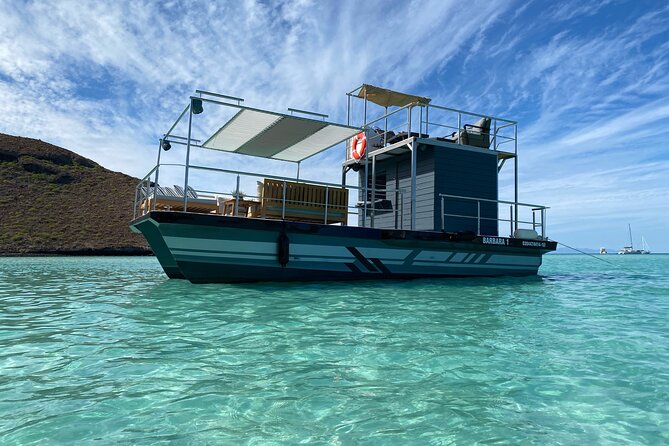 Private Cabo 35ft cat experience Food and open bar included! - Who This Private Catamaran Trip Suits Best