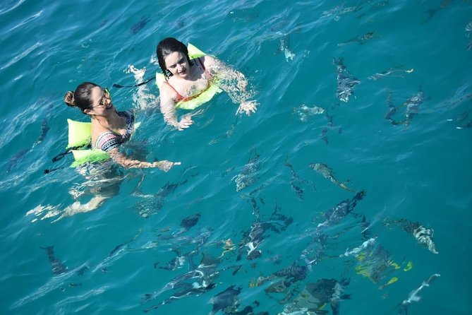 Private Catamaran Snorkeling Cruise in Los Cabos - Who should book this snorkeling catamaran, and who might prefer another option