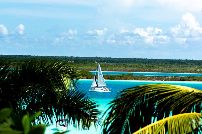 Private Catamaran Tour - Stromatolites and why they belong on your must-do list